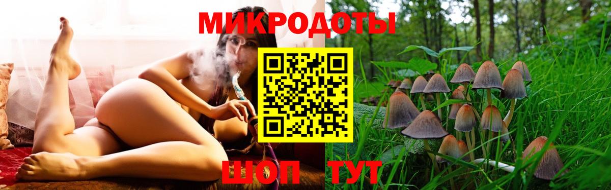 Псилоцибиновые грибы Cubensis Торжок